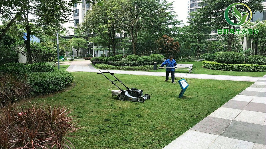 小區草坪修剪,小區綠化修剪