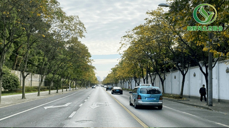 道路綠化,市政綠化