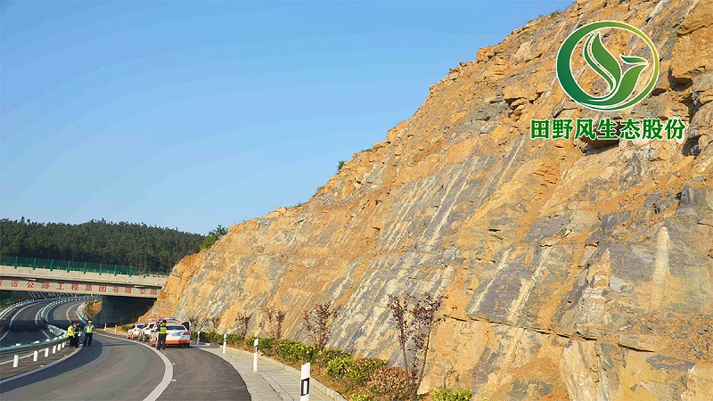 高速公路綠化，生態防護