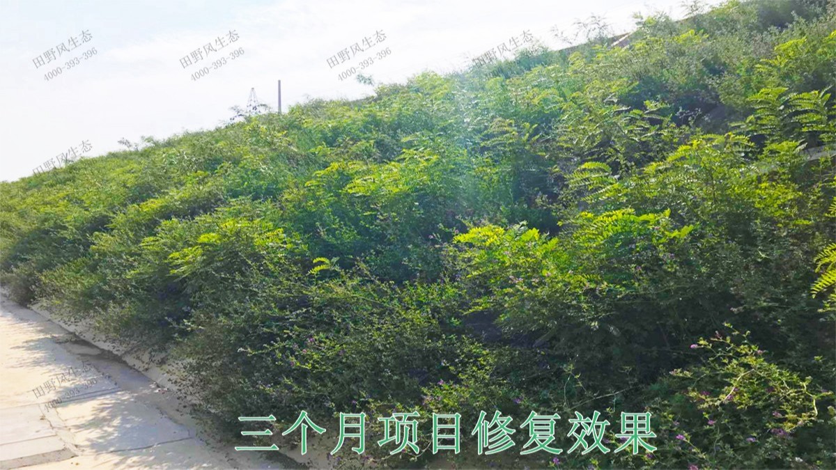 南廣鐵路廣東段鐵路邊坡掛網噴草工程