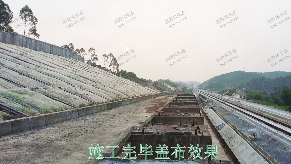 南昆高速鐵路廣西段鐵路邊坡綠化工程