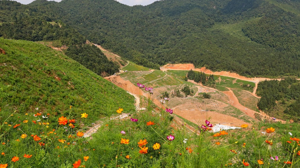 礦山生態(tài)修復(fù)