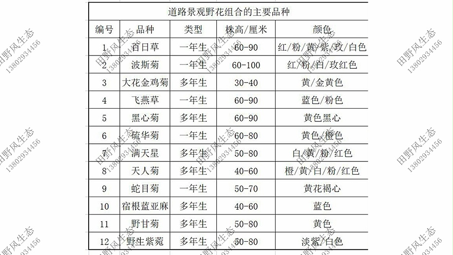 花卉種子購買