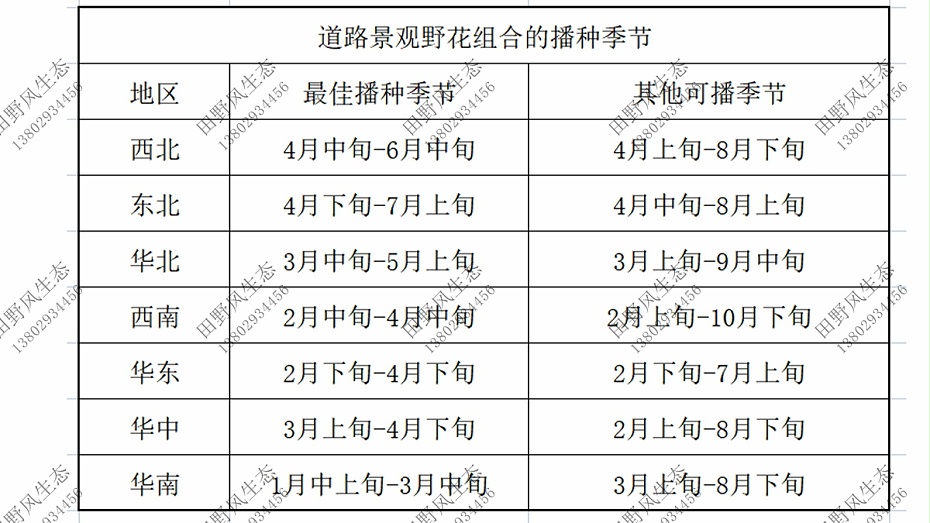 花卉種子批發