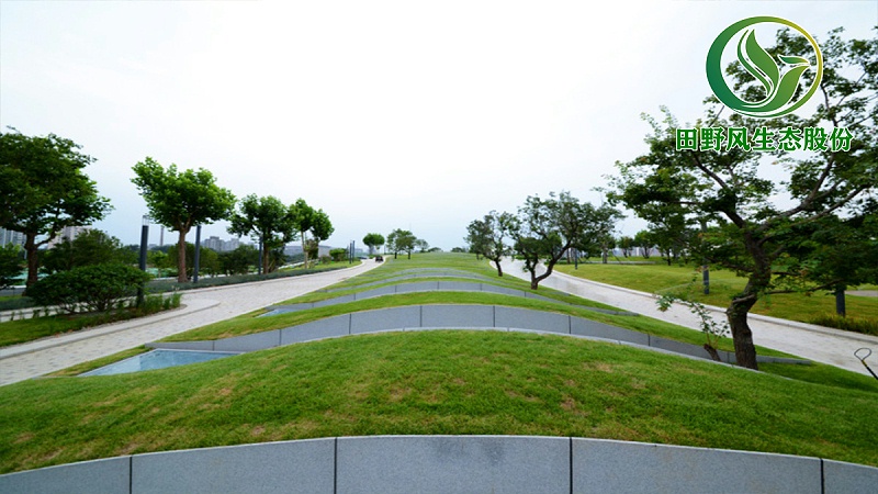 園林綠化，綠植養護