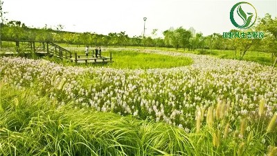 田野風草坪管理