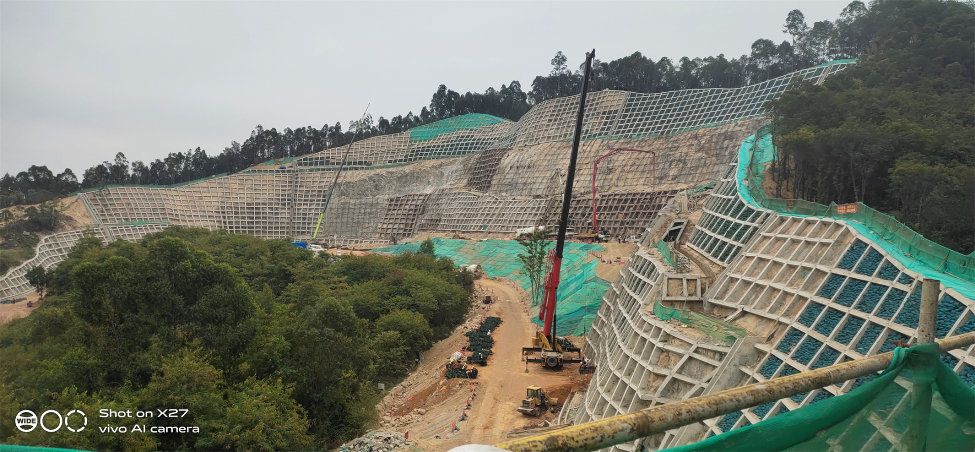 礦山噴播復綠用什么草種子合適