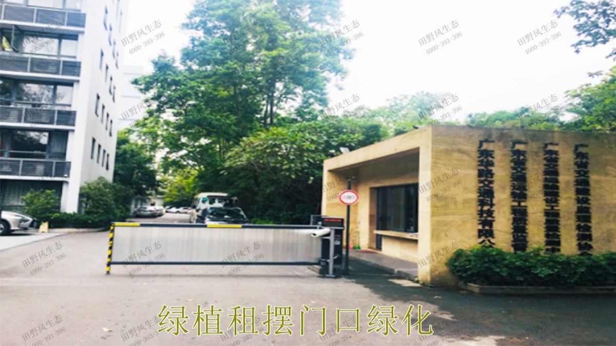 花卉植物租擺,廣東省交通運輸建設工程質量檢測中心