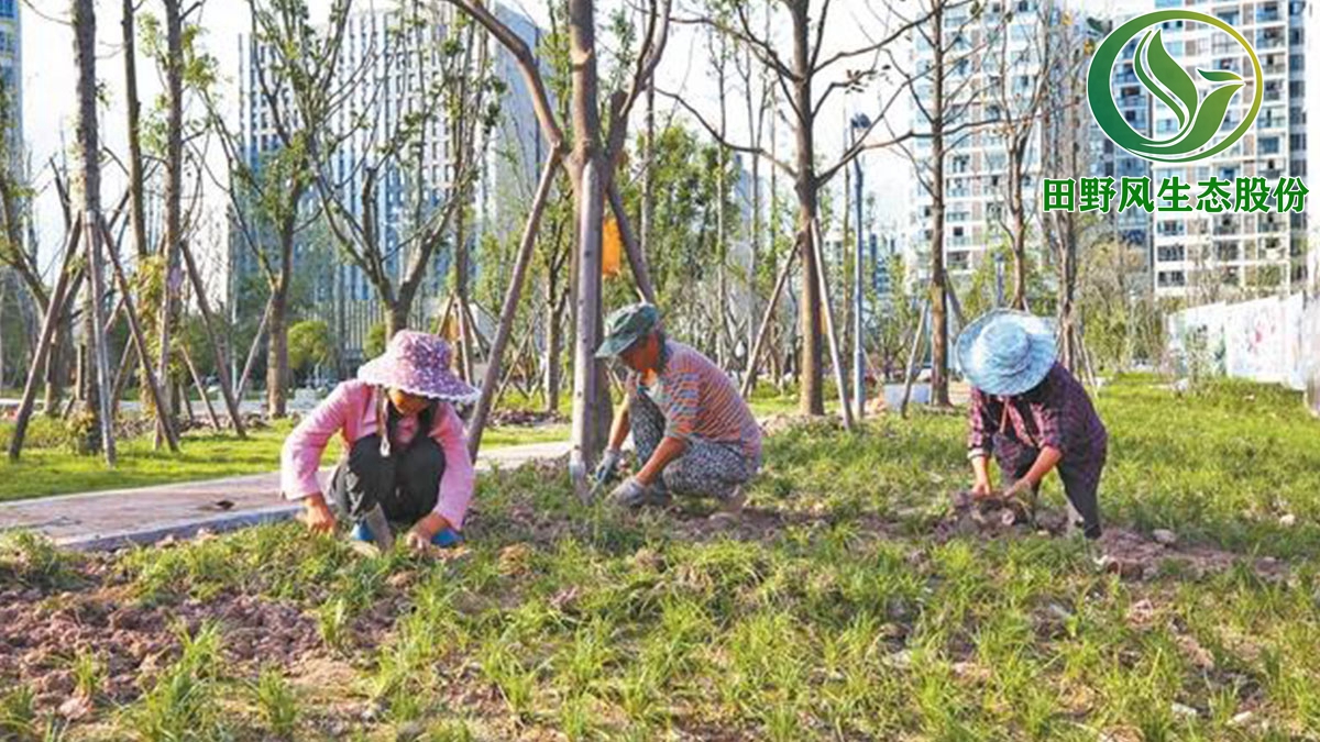 廣州綠化養護,園林綠化