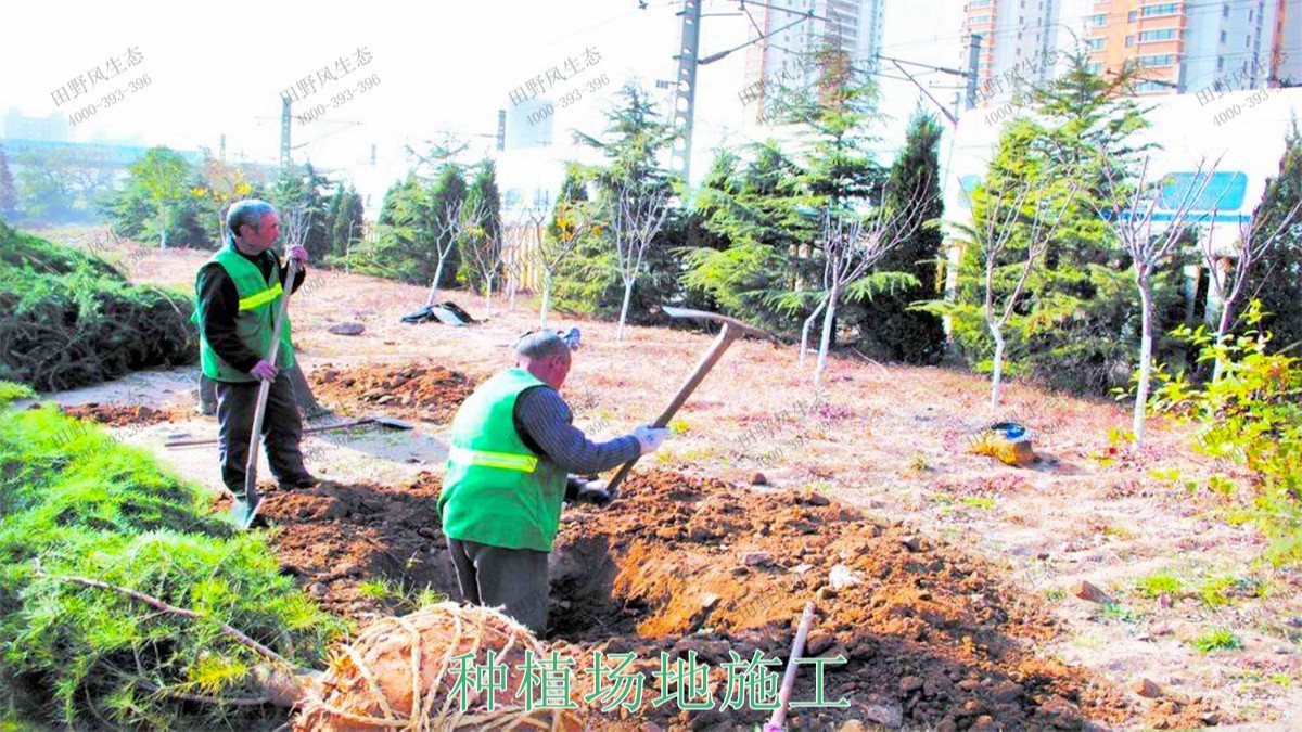 仁化縣董塘河道生態治理工程