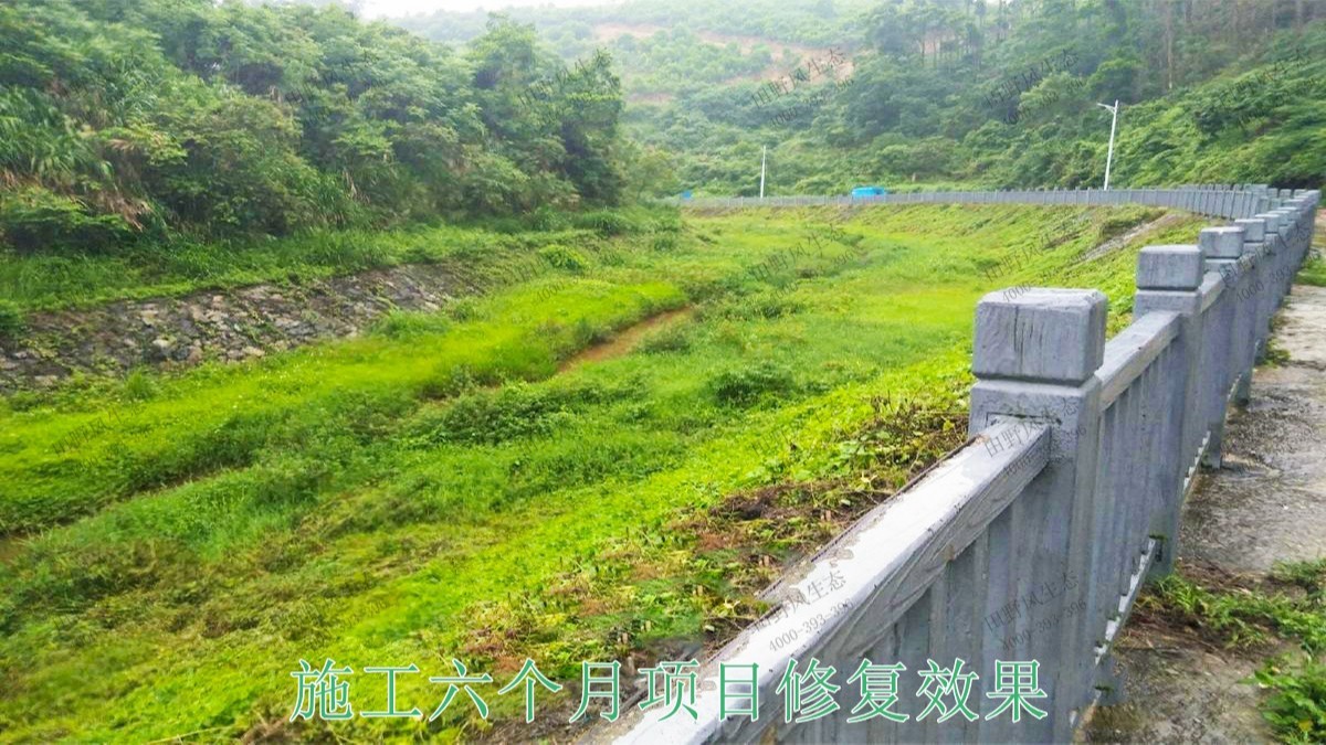 仁化縣董塘河道生態治理工程