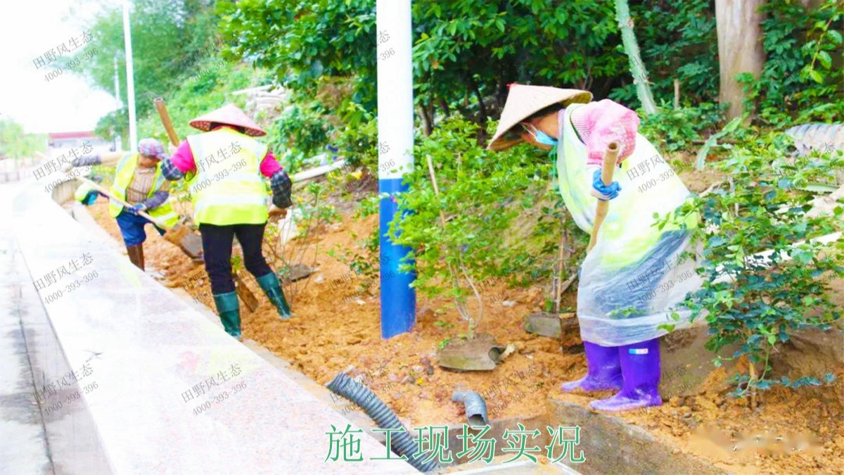 龍勝縣和平河道河堤坡面掛網植草施工