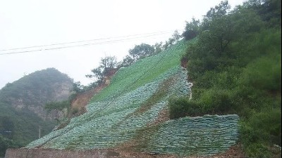 生態(tài)袋——環(huán)境保護(hù)、生態(tài)綠化、水土保持三位一體的生態(tài)護(hù)坡系統(tǒng)