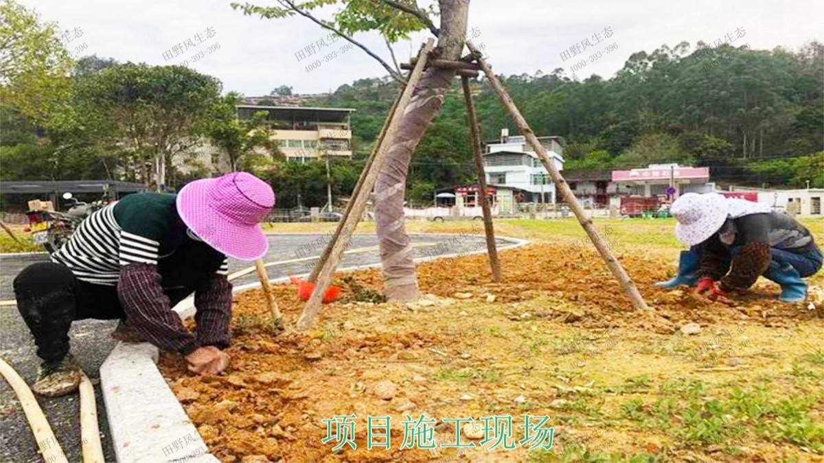 福建福州景區花海工程