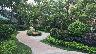 秋冬季節園林綠化養護八大技術介紹