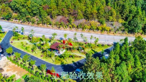 江門逢江區(qū)園林景觀花卉園林綠化