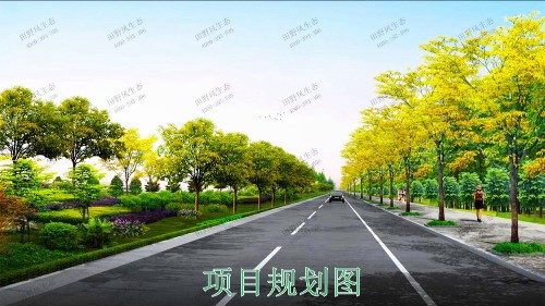 火炬開發(fā)區(qū)景觀路市政景觀工程