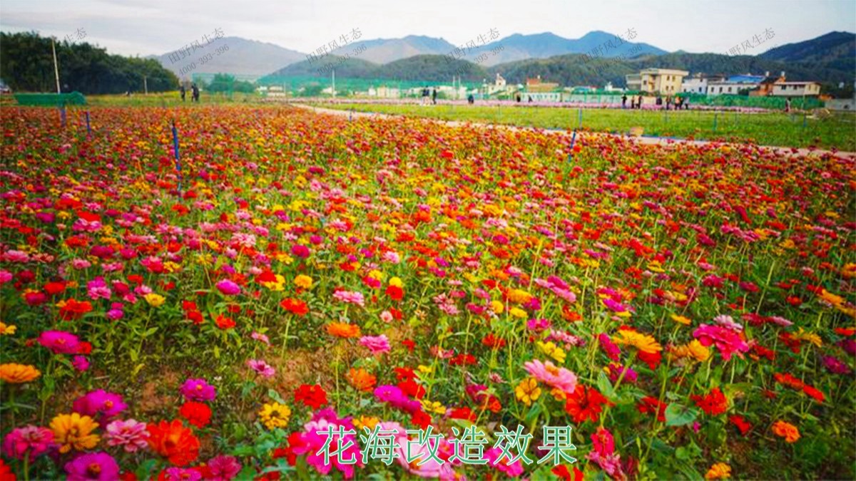 蕉嶺縣美麗鄉村工程項目