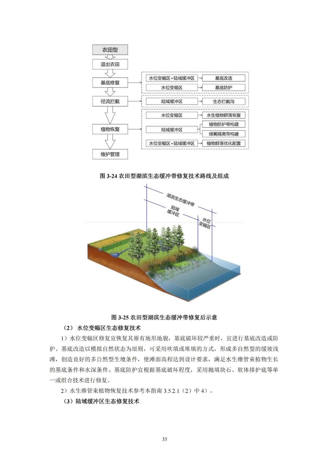 河湖生態緩沖帶保護修復