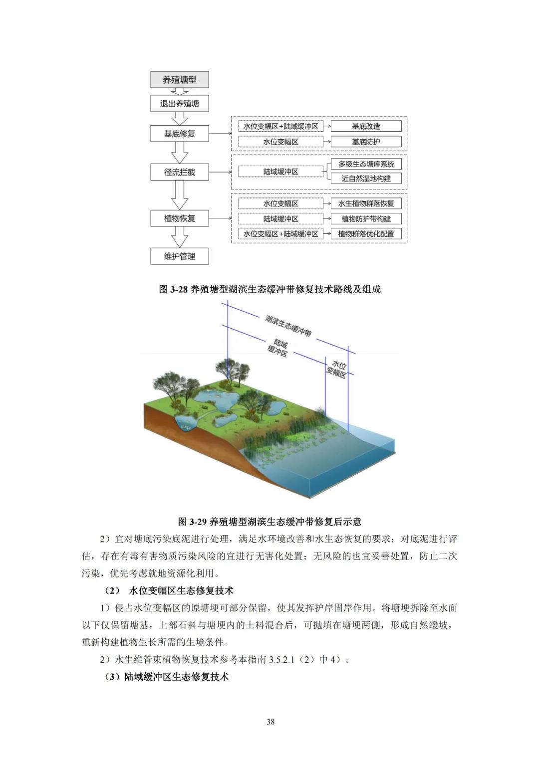 河湖生態緩沖帶保護修復