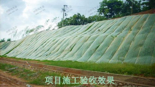 興汕高速梅州段公路邊坡掛網噴播工程