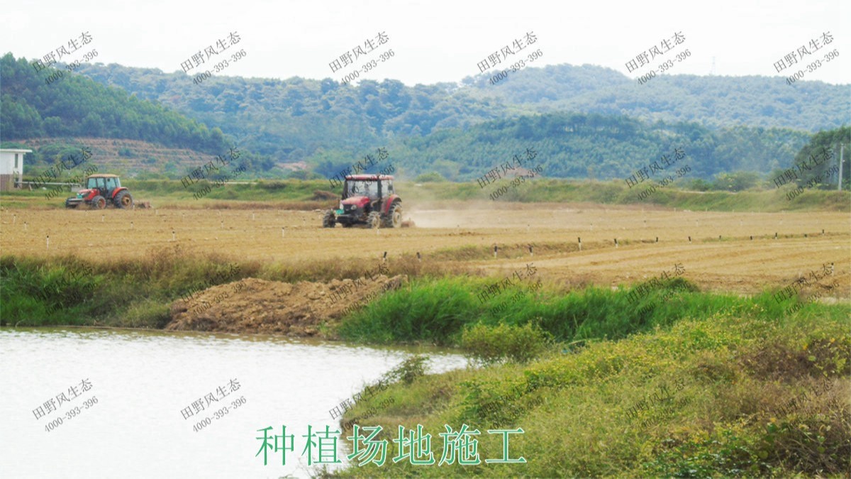 廣西梧州思良江休閑農業生態園花海工程