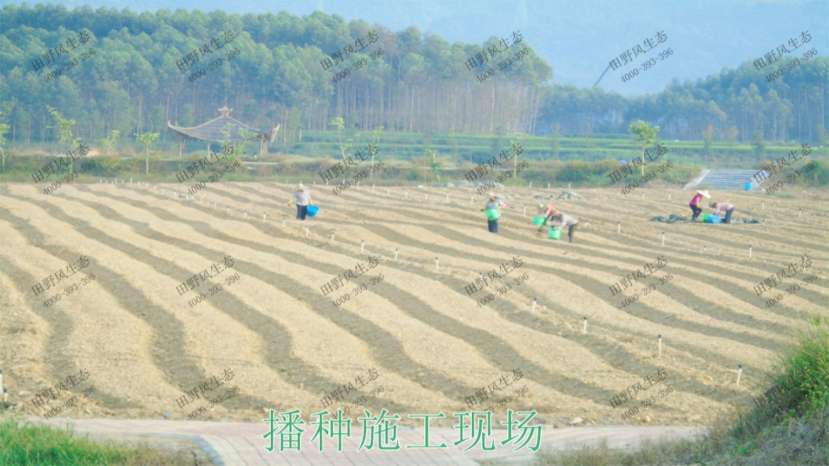 廣西梧州思良江休閑農業生態園花海工程