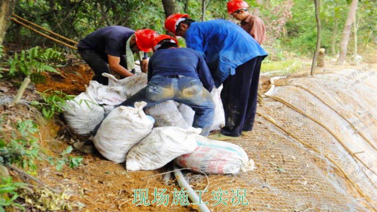 連平縣工業(yè)園區(qū)邊坡綠化