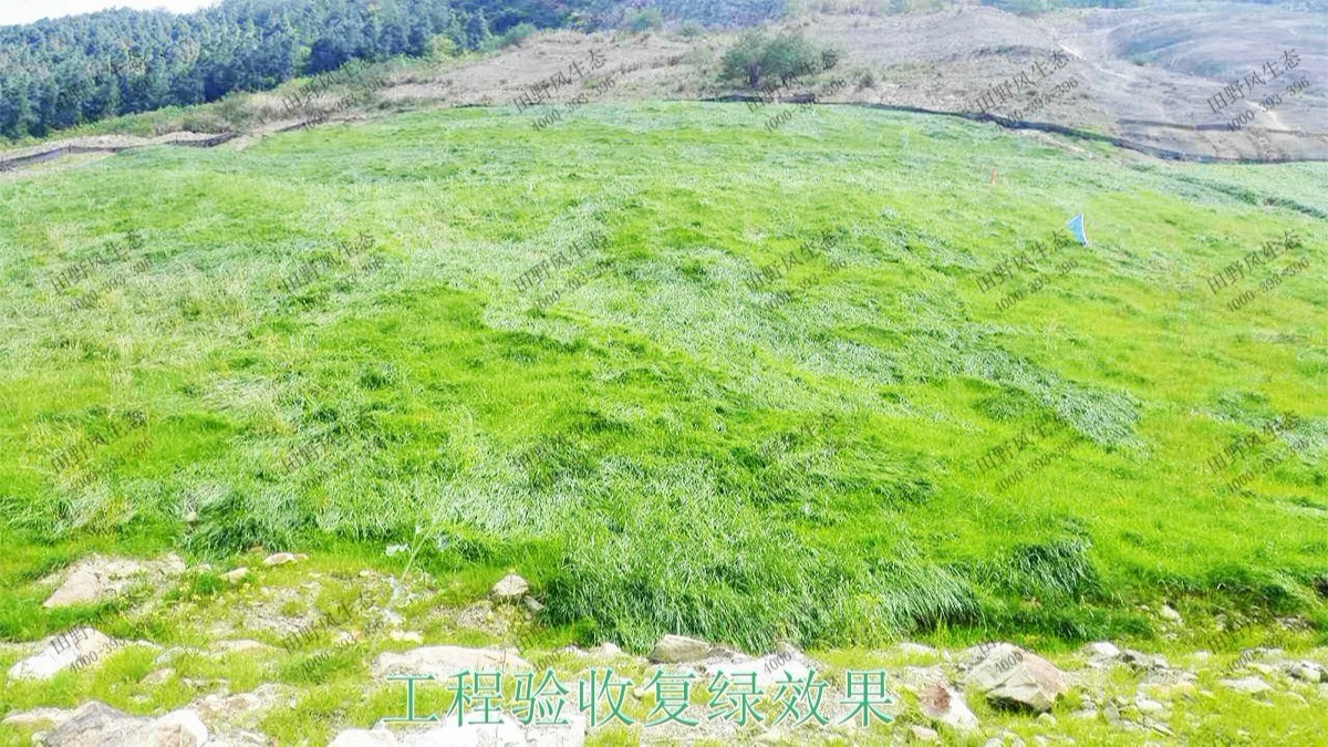 珠三角環線輕鐵路邊坡復綠工程