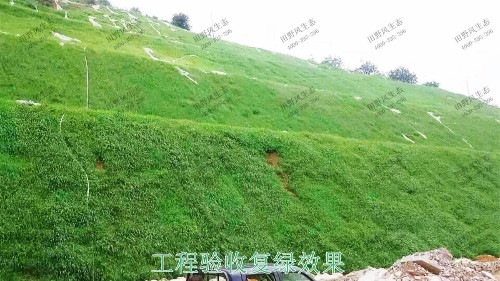 珠海長隆集團皙養基地邊坡修復工程