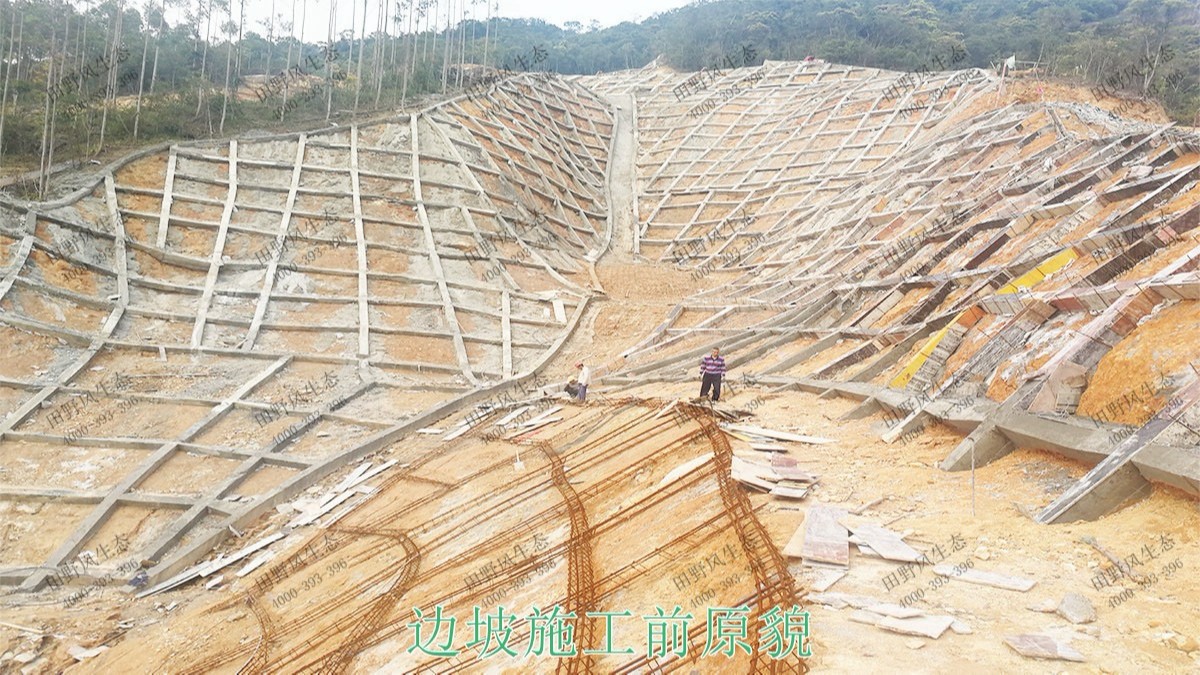 海豐蓮花山山體滑坡地質災害邊坡噴草