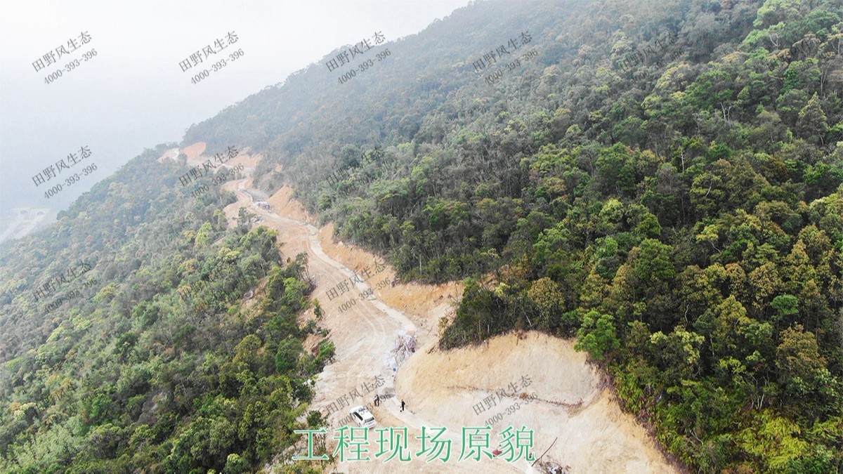 海豐蓮花山山體滑坡地質災害邊坡噴草