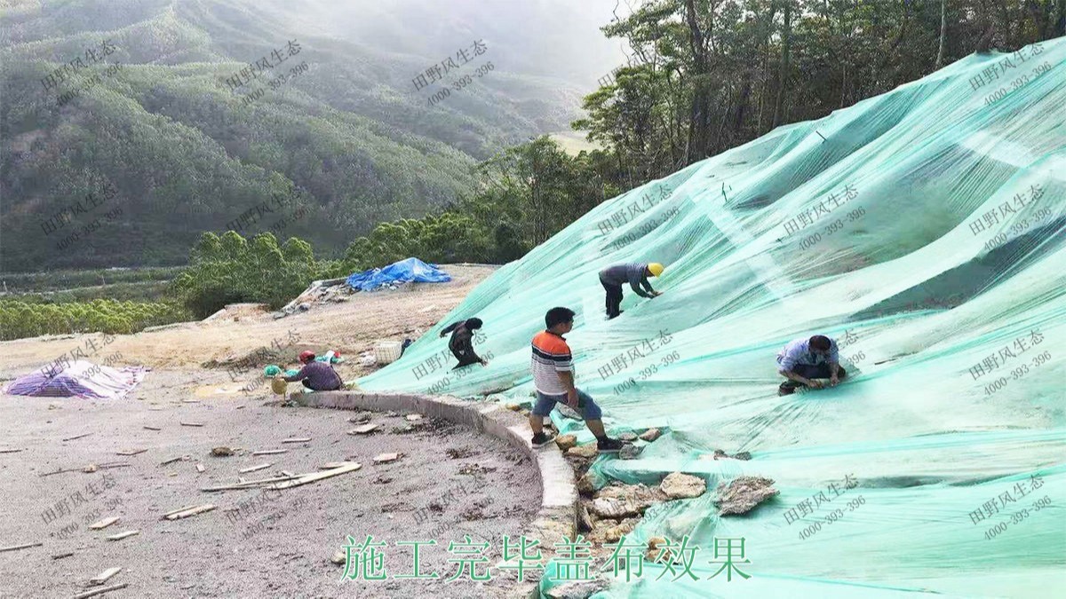 海豐蓮花山山體滑坡地質災害邊坡噴草