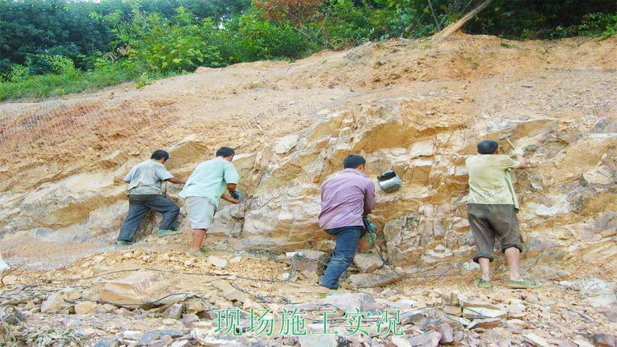 高州市泗水鎮(zhèn)林豐石場生態(tài)修復(fù)工程