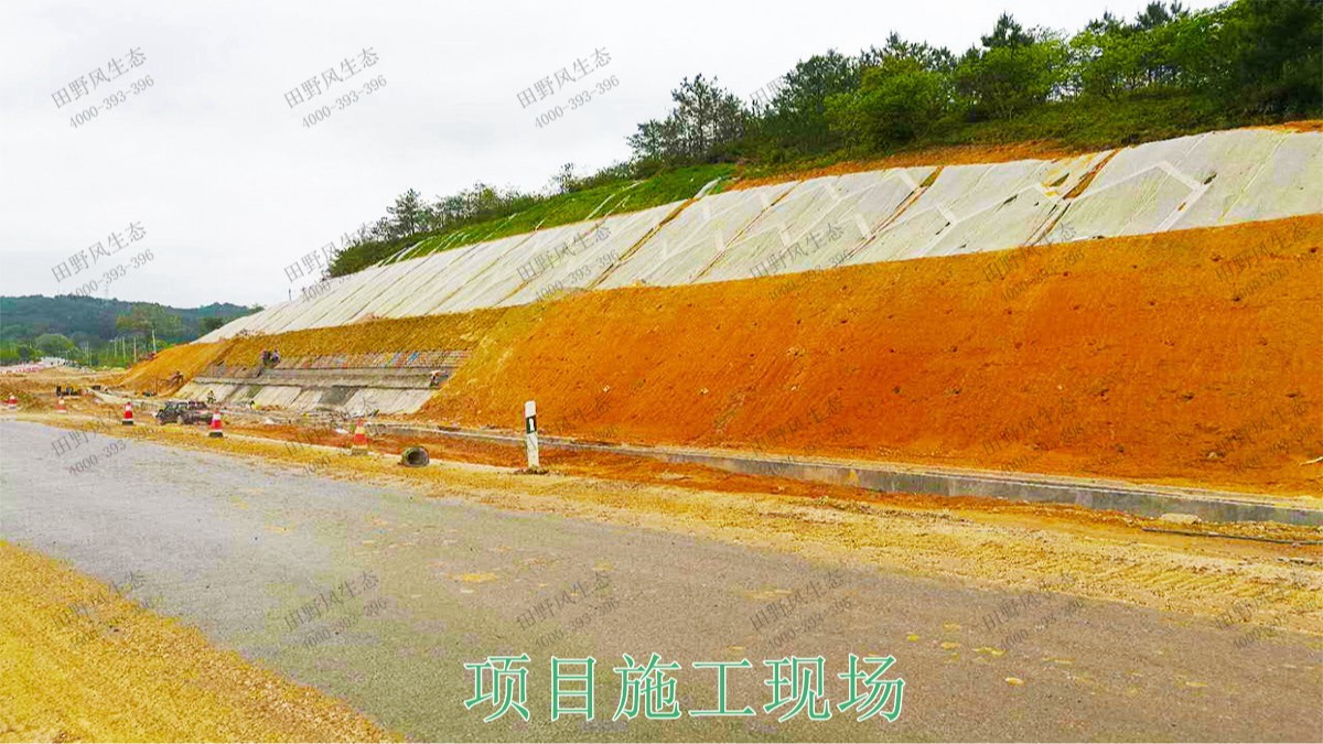 平興高速五華段公路邊坡掛網復綠