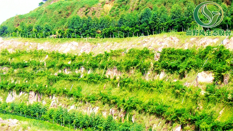 礦山生態修復,植被修復