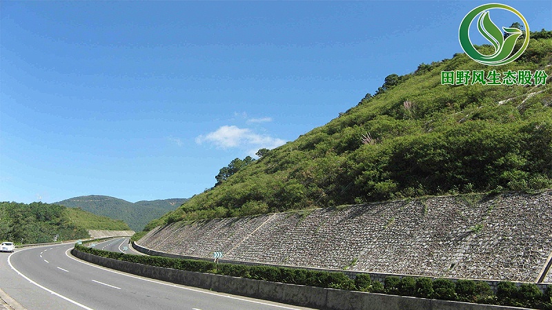 客土噴播植草,邊坡綠化