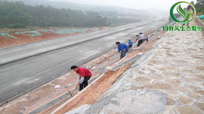 高速公路綠化，有哪些方法與竅門呢？