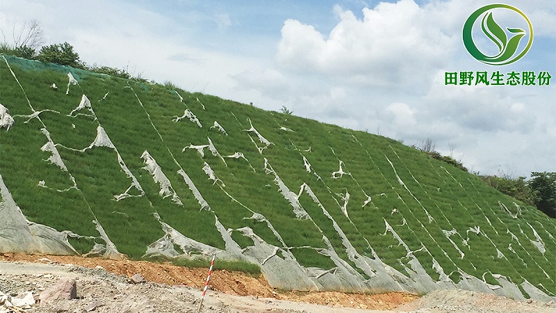 高速公路綠化,高速邊坡綠化