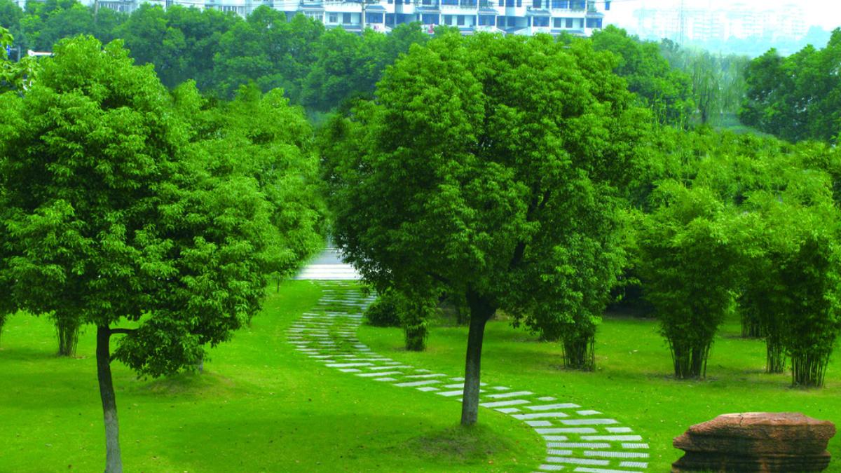 六大園林綠化實用養護技能，你一定要知道！