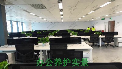 廣州市創佳建筑模型公司綠植展示